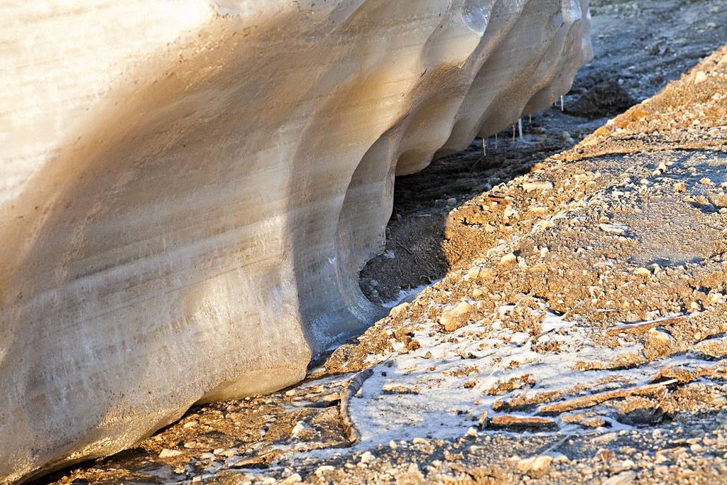 Shaded side of an ice flow on shore 2009 May 15