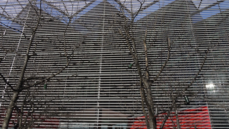 P1000139.JPG