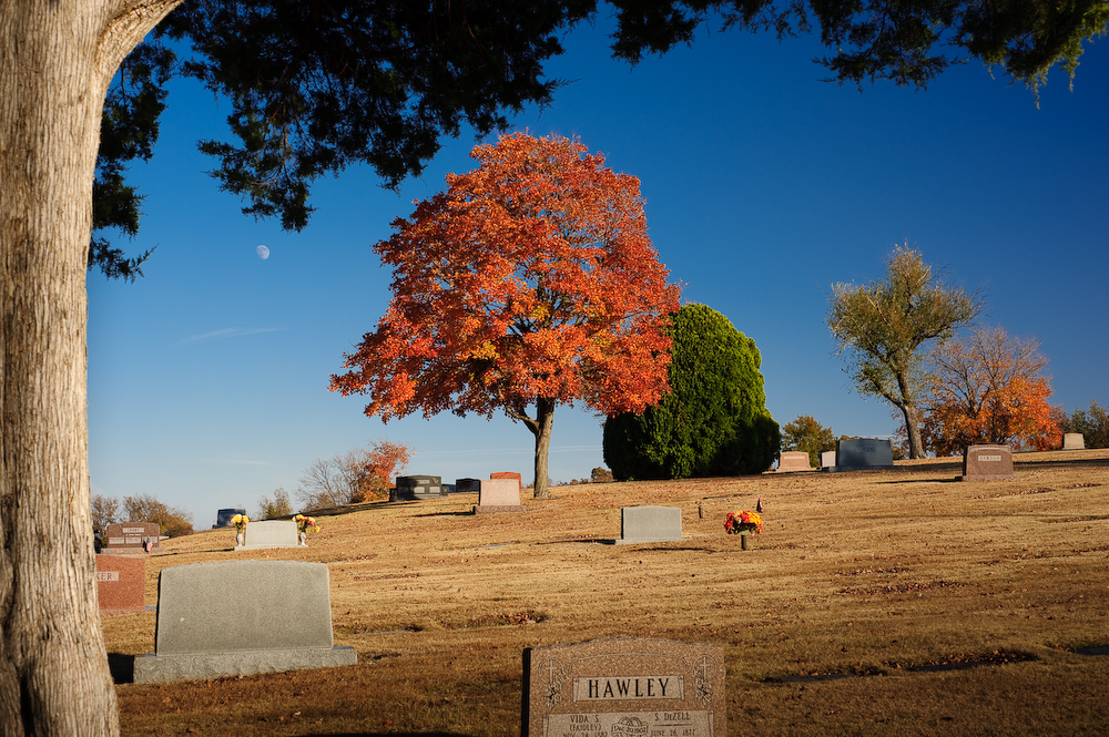November 9 2008