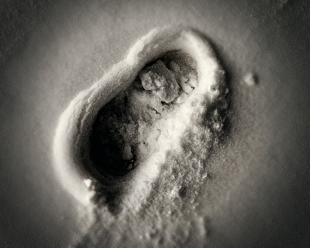 February 9 2011