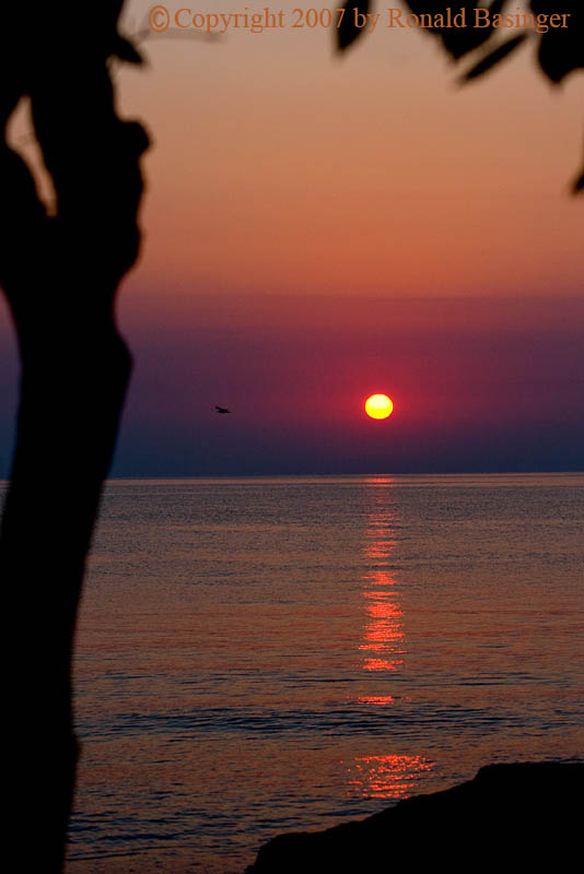 Lake Erie (OH)