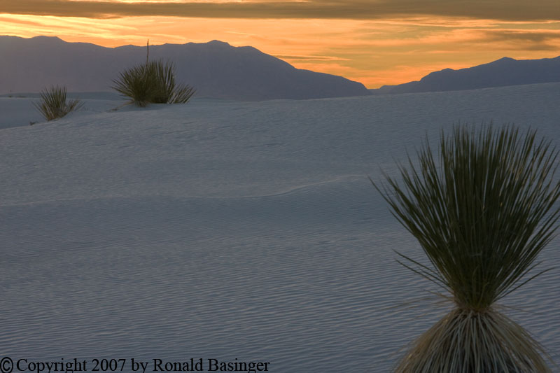 White Sands (NM)