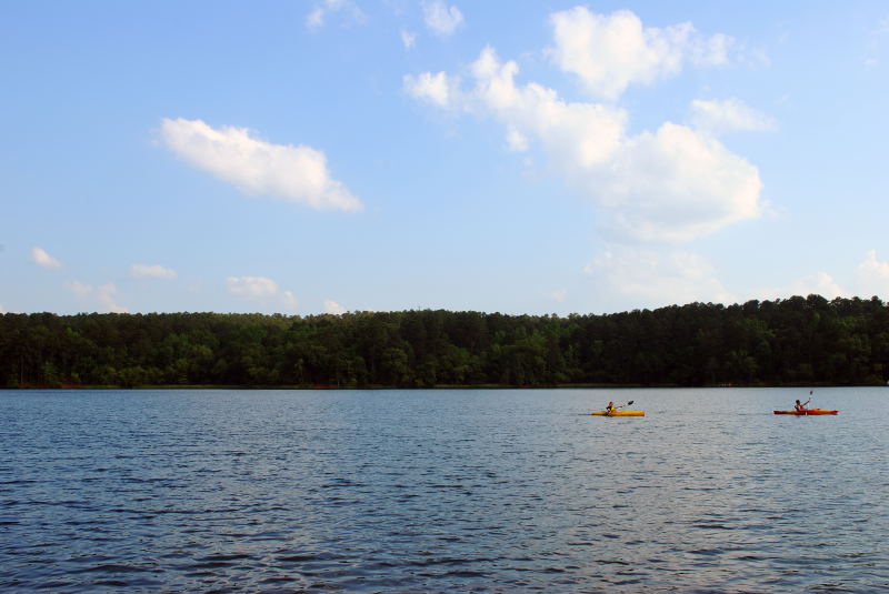 (20090515_174419_rj_b_d60)