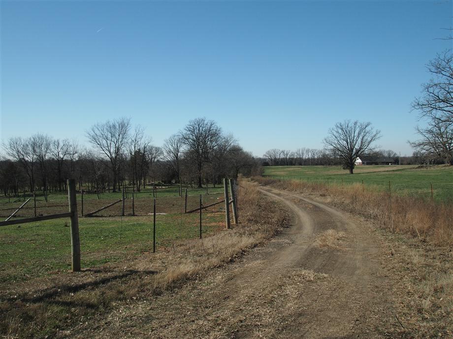 Entrance, Looking Out