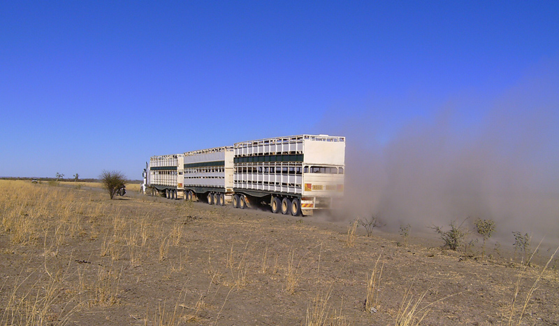 Road Trains always win?