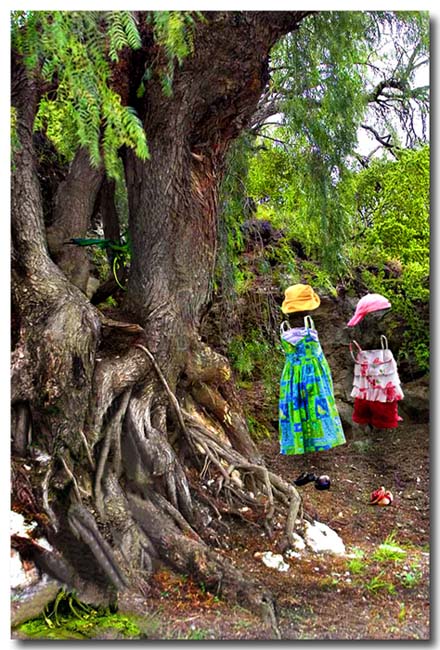 Enchanted Forest