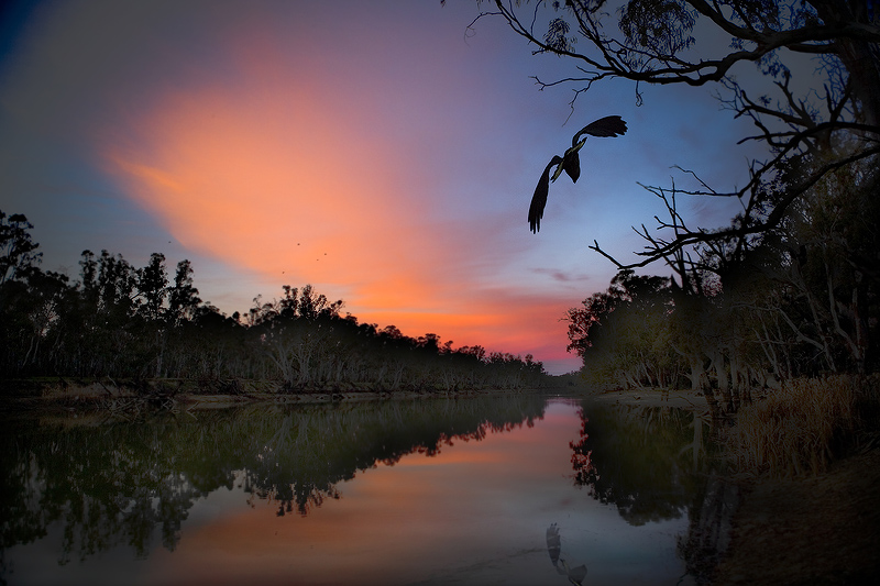 Edward River.jpg