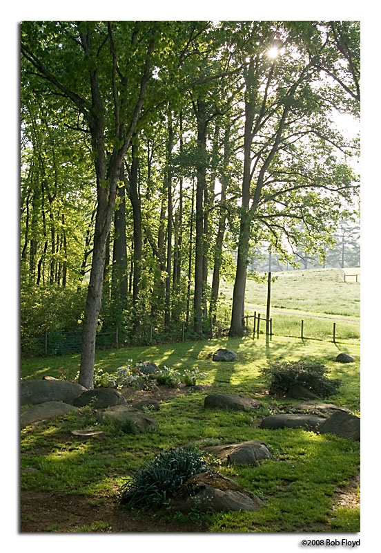 5/6 - Rock Garden