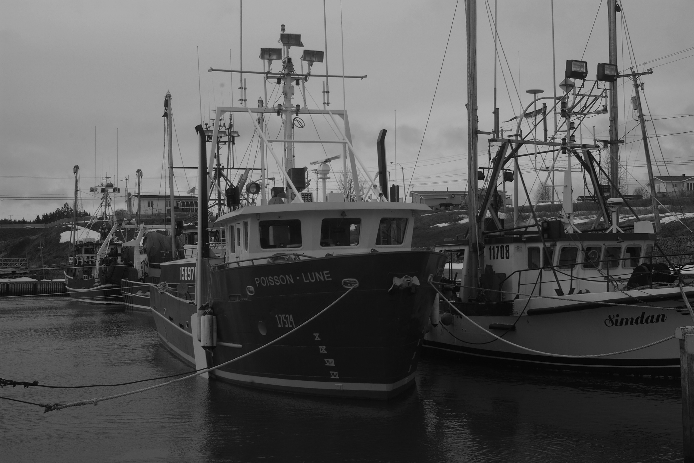 Fishing ships on rest