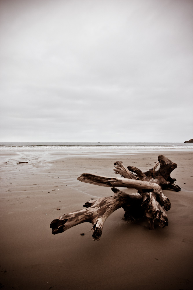 Moeraki Boulders beach