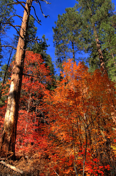 West Fork