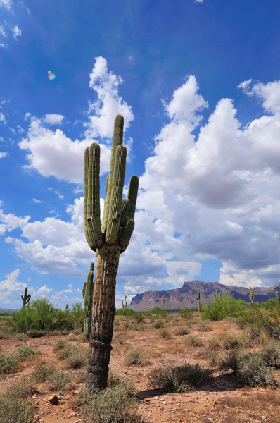 Superstition Mountains