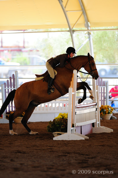 Scottsdale Hunter Jumper Show