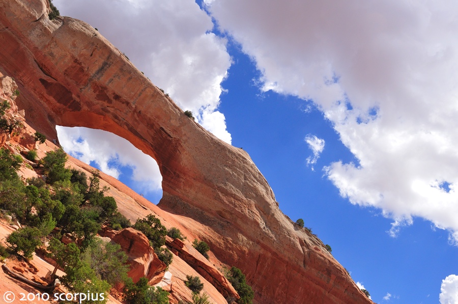 Wilson Arch