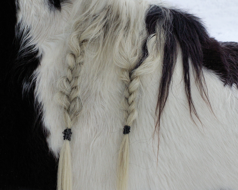 braid