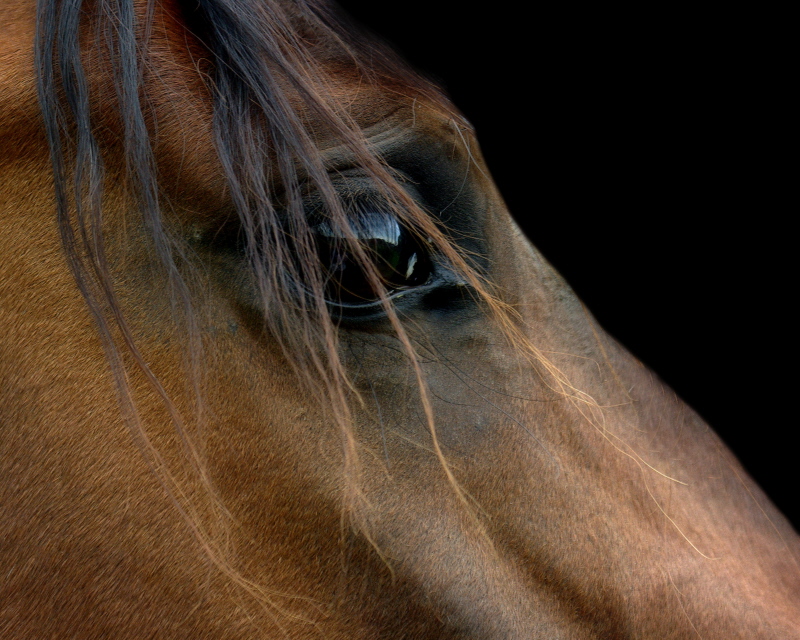 Watchful