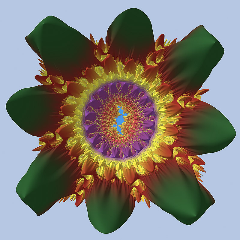 Douadys rabbit flower 2