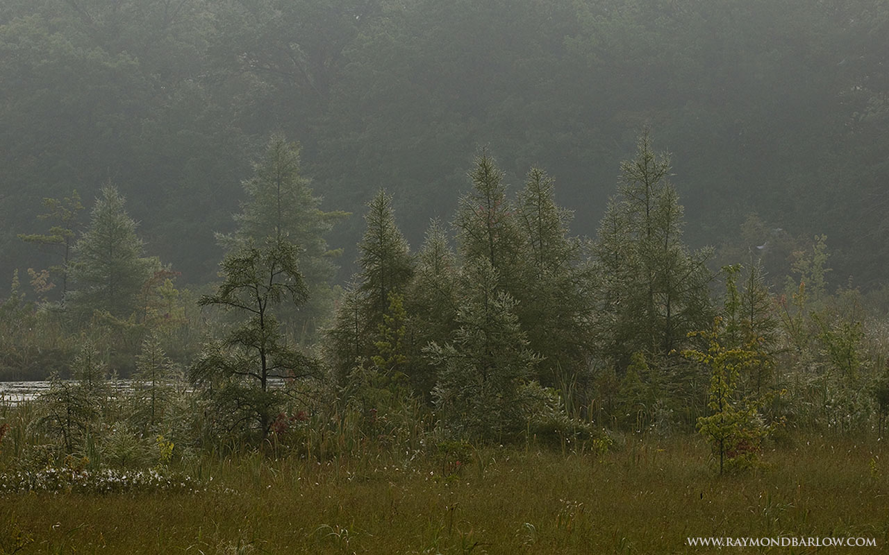 DSC_9090 Grassy lake Scenic desktop.jpg