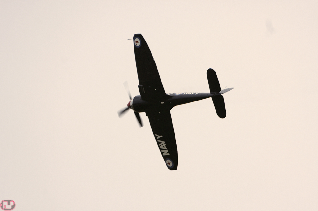 Sea Fury