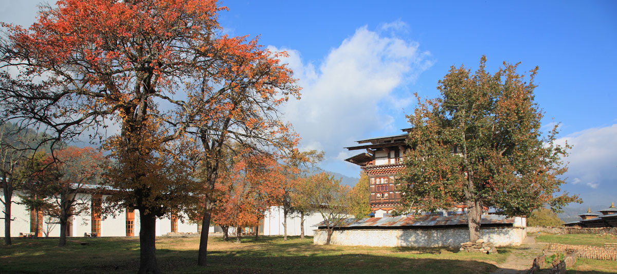 Wangdichholing Palace and Amankora