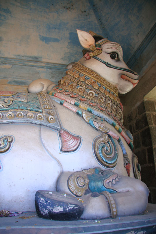 Painted nandi, Nataraja Temple