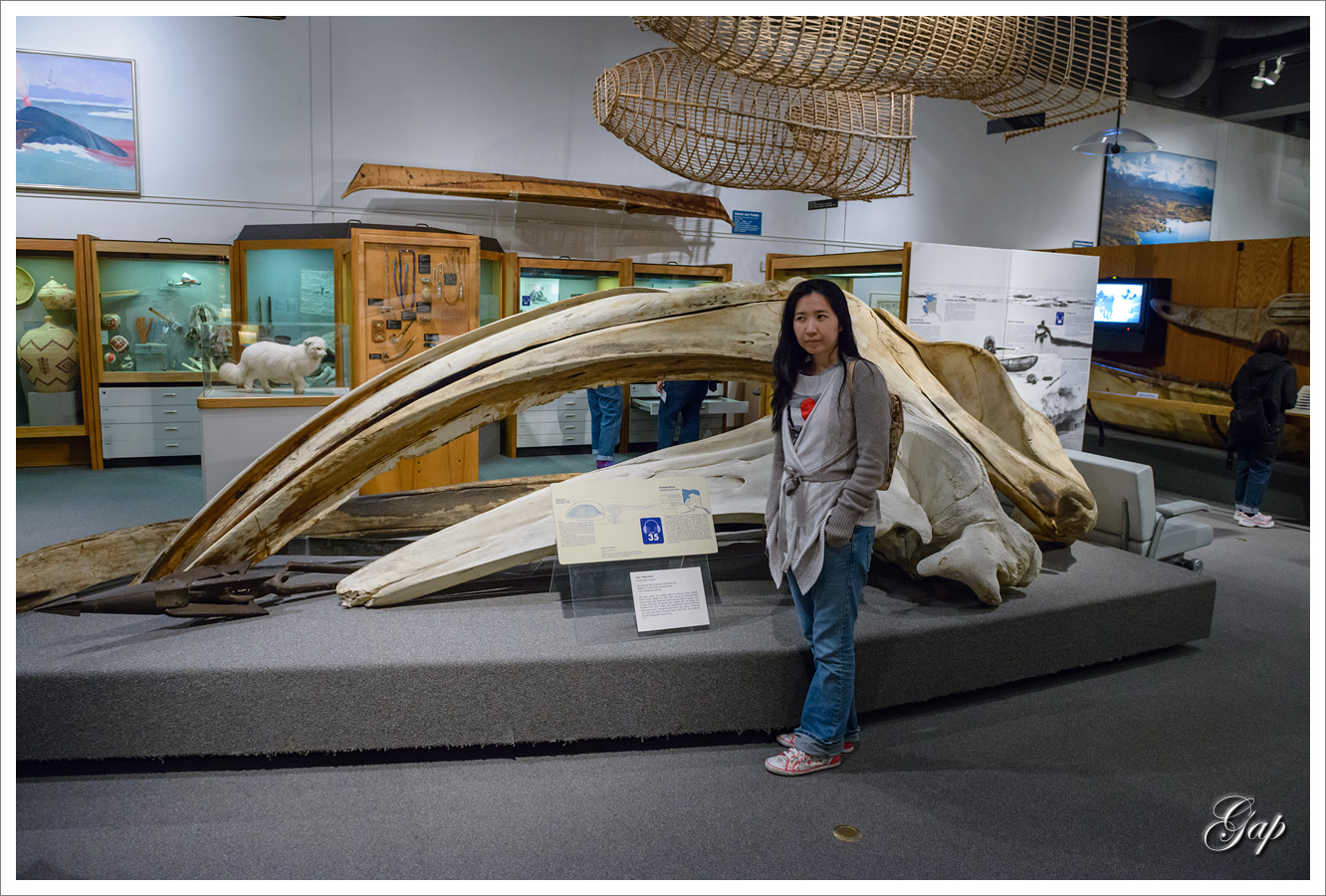 Whale