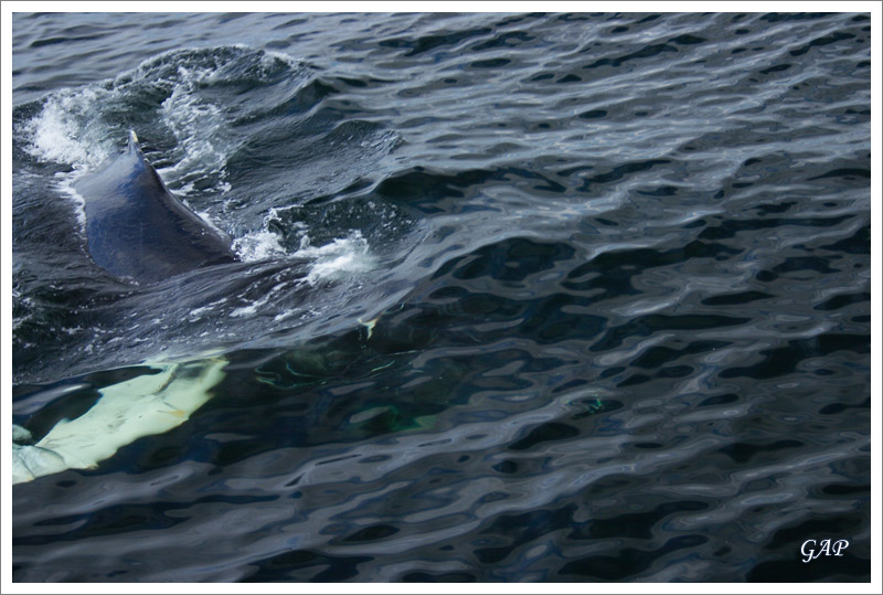 close to the boat