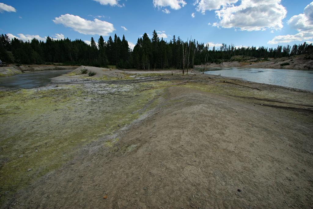 Sour Lake / Black Caldron, Yellowstone National Park