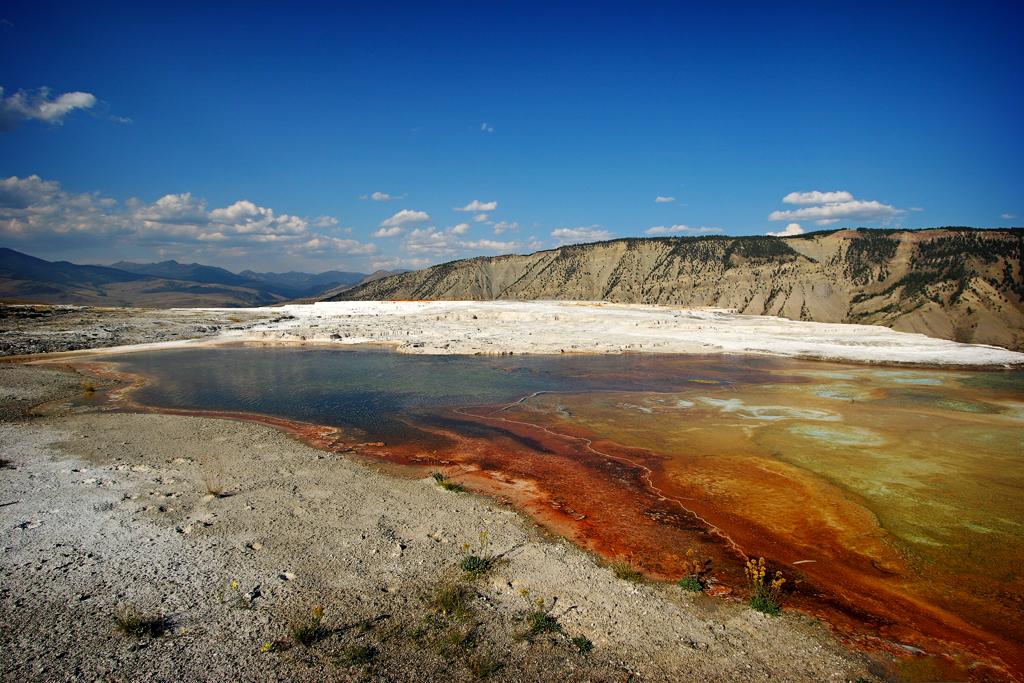 Canary Spring, Mammoth Hot Springs, Yellowstone National Park