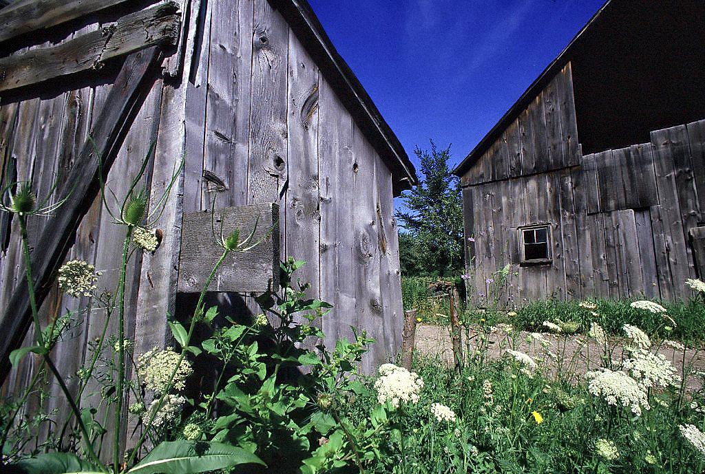 The Farm, Dunville, Ontario - 13