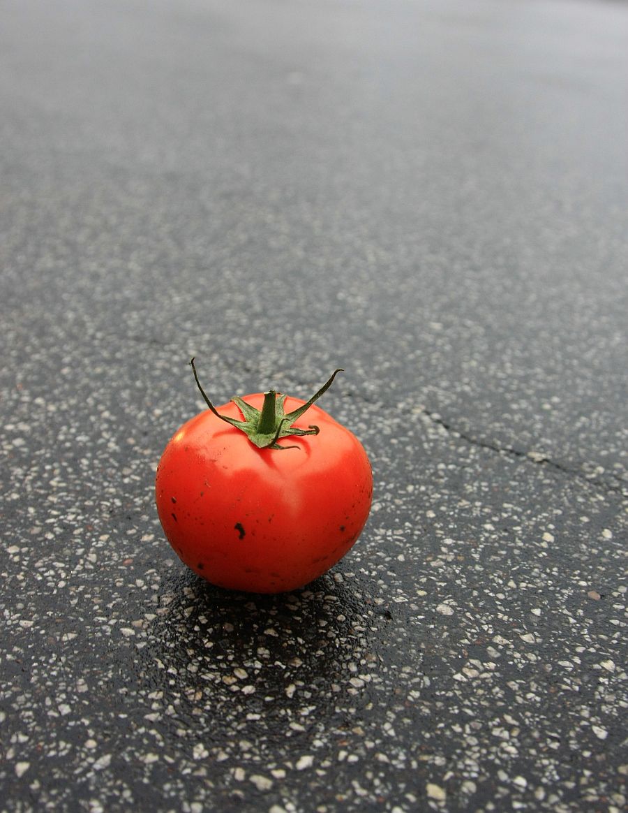 Tomate la vida