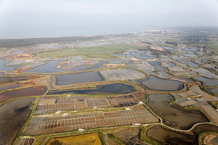 7270 Marais salants de Gurande 2010.jpg