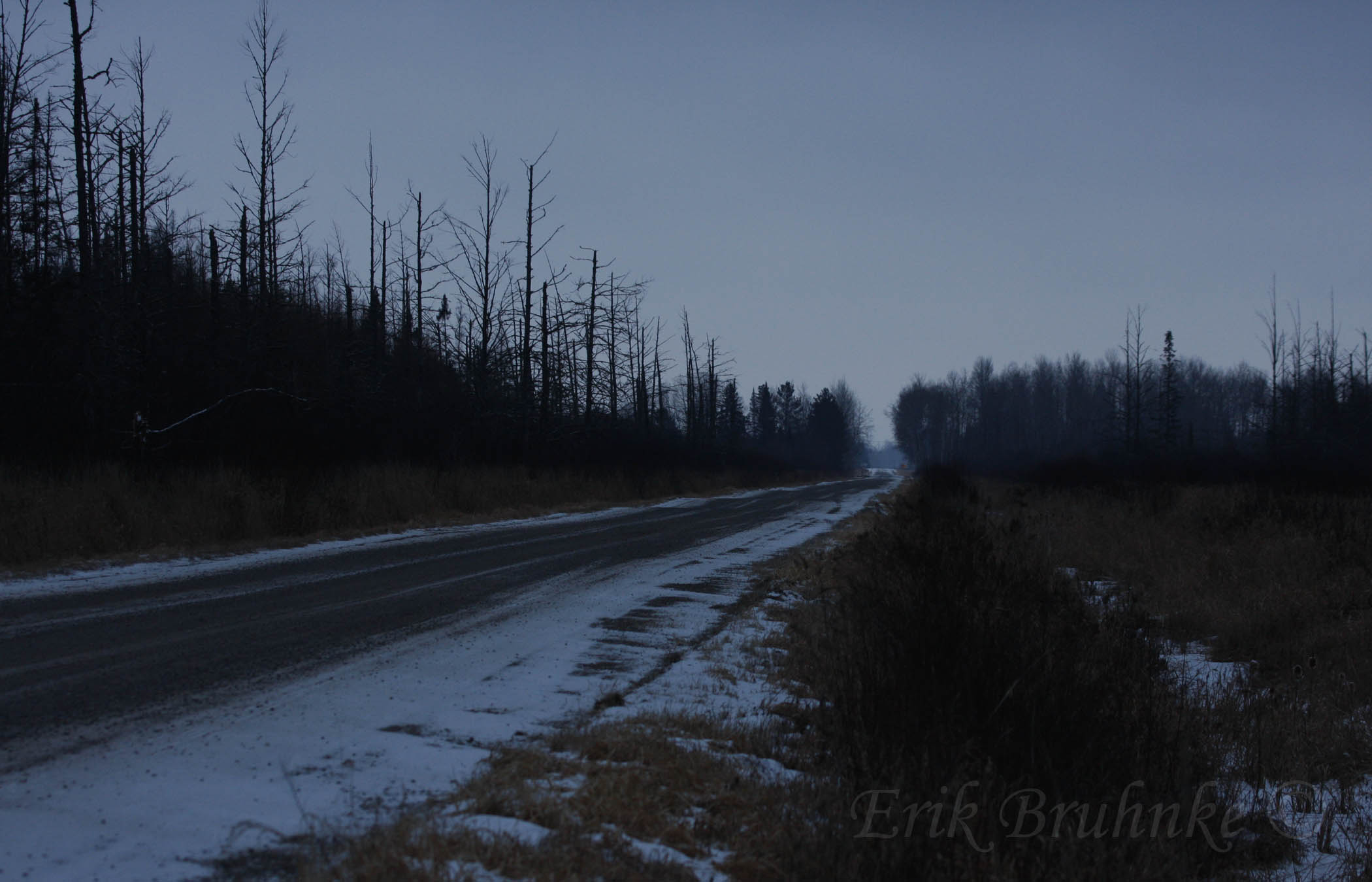 Sunset in the bog, on a cloudy evening