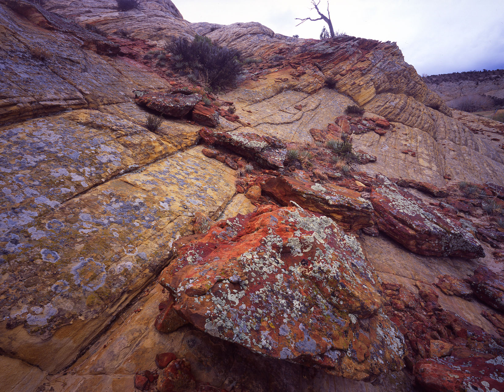 31 Boulder-Notom Road, Utah rocks 5