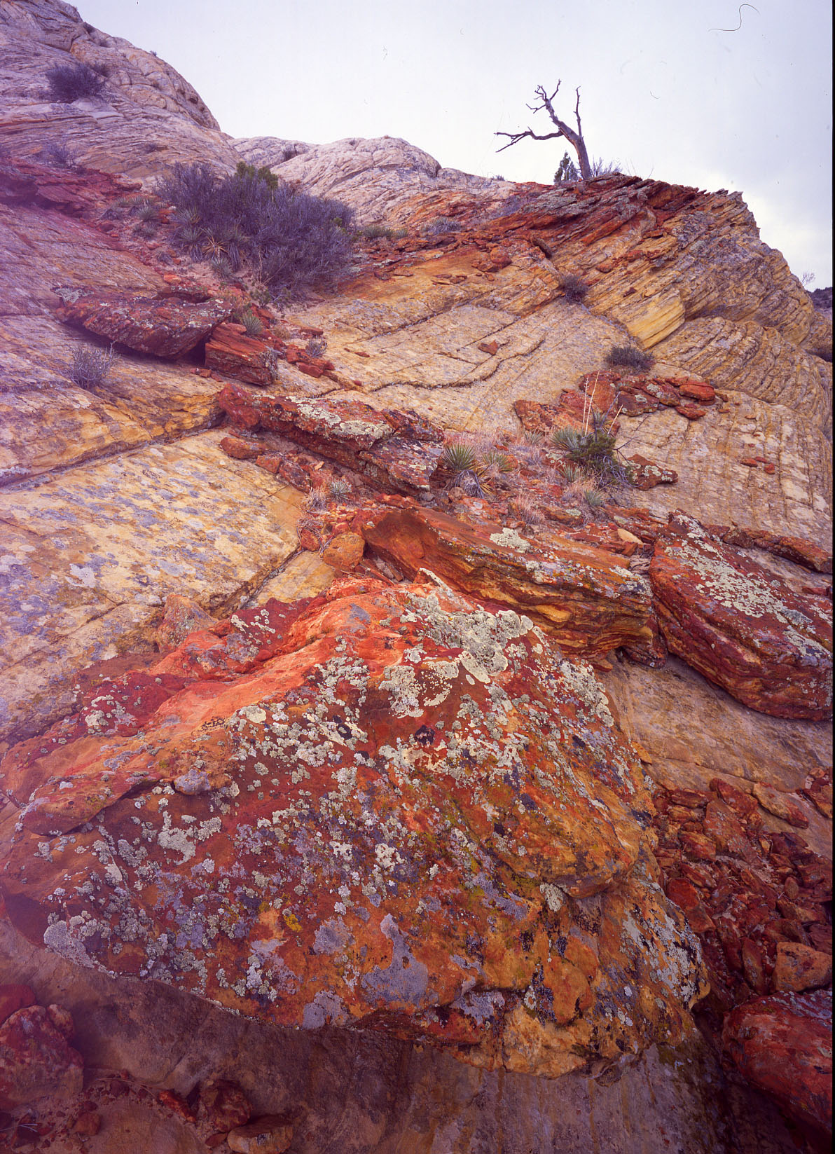 33 Boulder-Notom Road, Utah rocks 7