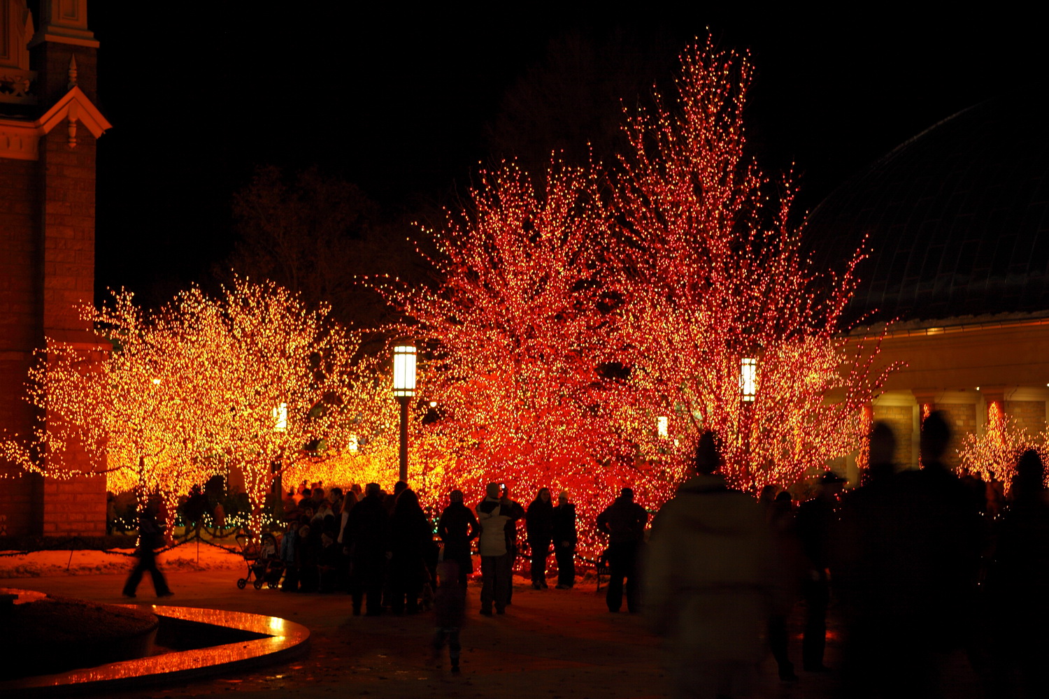Christmas Lights
