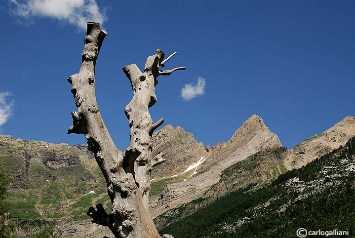 Valle de Pineda