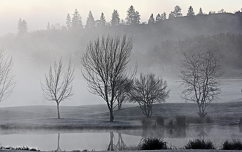 Winter Morning