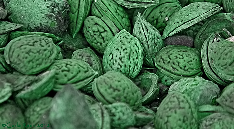 Happy St Patricks Day