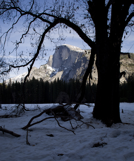 W-2011-02-09-0716- Yosemite -Photo Alain Trinckvel.jpg