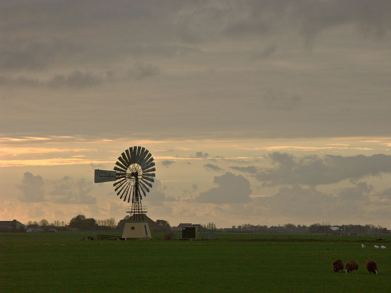 Landscape