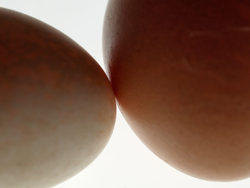 Eggs