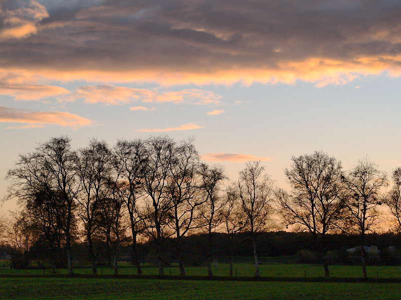 Twilight