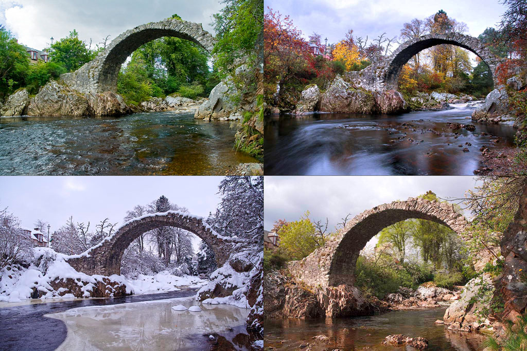 Four Seasons