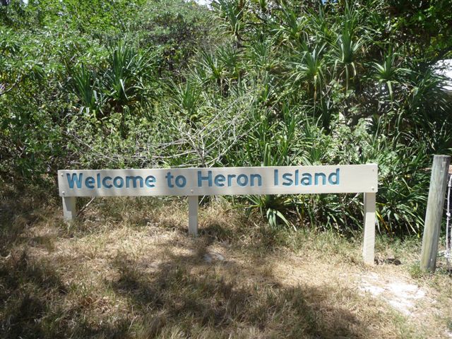 Heron Island