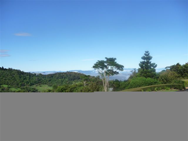 O'Reilly's Rainfall Retreat