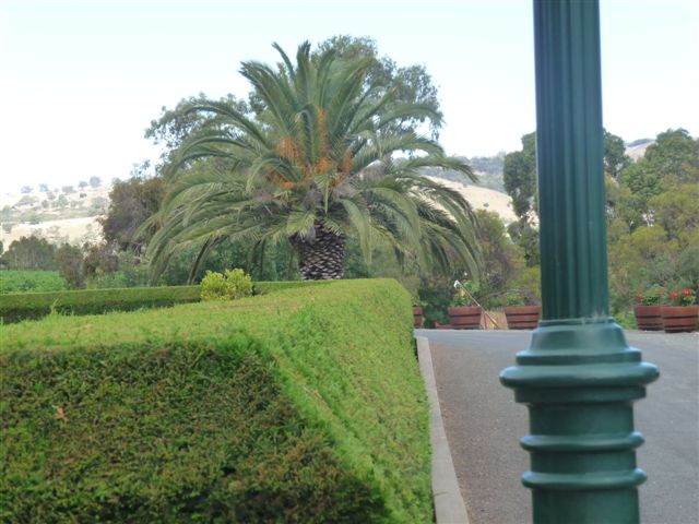 Adelaide Wine Excursion
