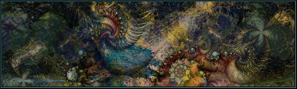 Channels-and-Selections-Cla.jpg