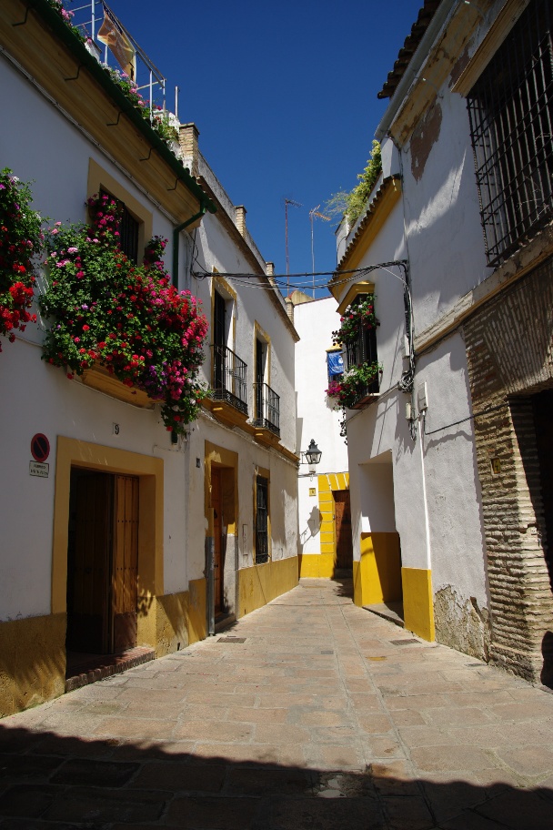 IMGP6456w.JPG
