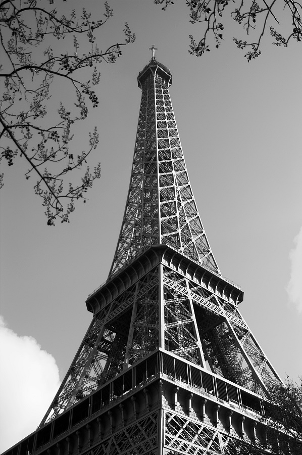 IMGP0904-01w.jpg